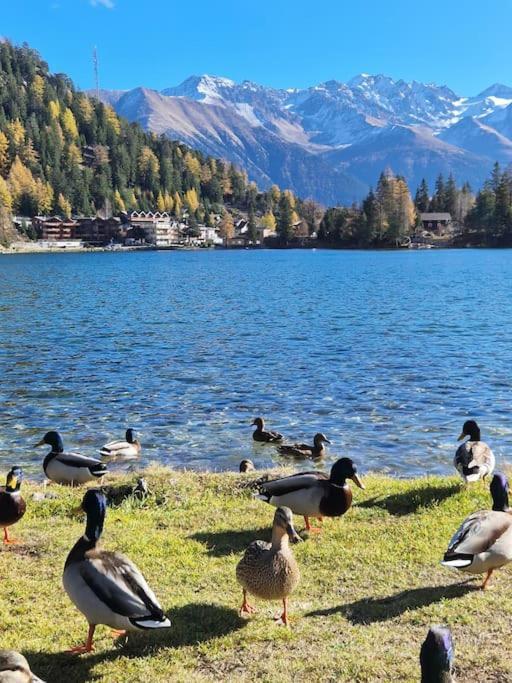 Superbe Appartement Champex-Lac Avec Piscine Et Sauna Экстерьер фото