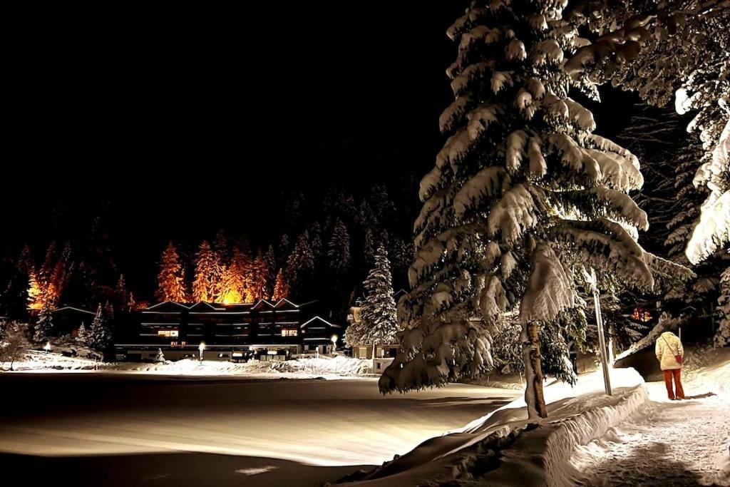 Superbe Appartement Champex-Lac Avec Piscine Et Sauna Экстерьер фото